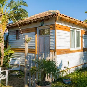 La Palmerita , El Palmar (Andalucia) España